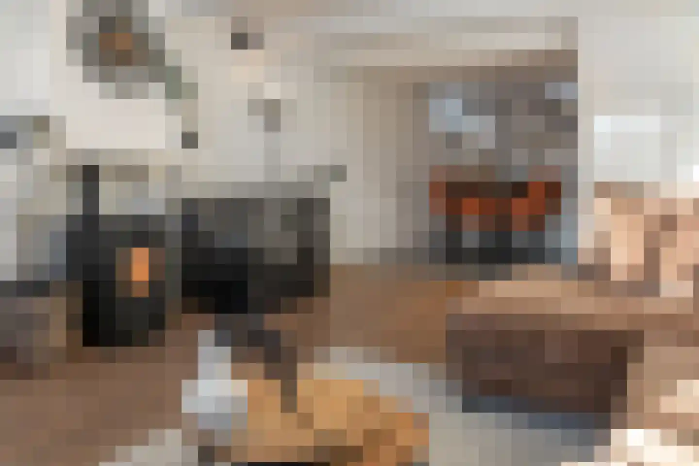 Visstraat 21 Joure thumbnail 8