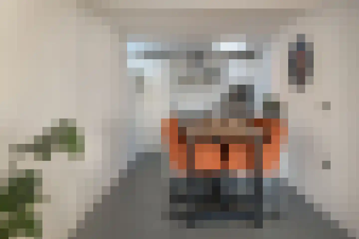 Visstraat 21 Joure thumbnail 9