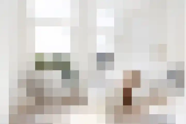 Visstraat 23 Dordrecht thumbnail 5
