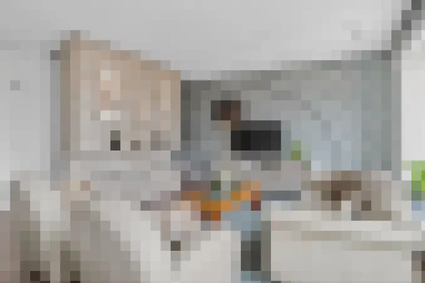 Visstraat 25 IJmuiden thumbnail 6