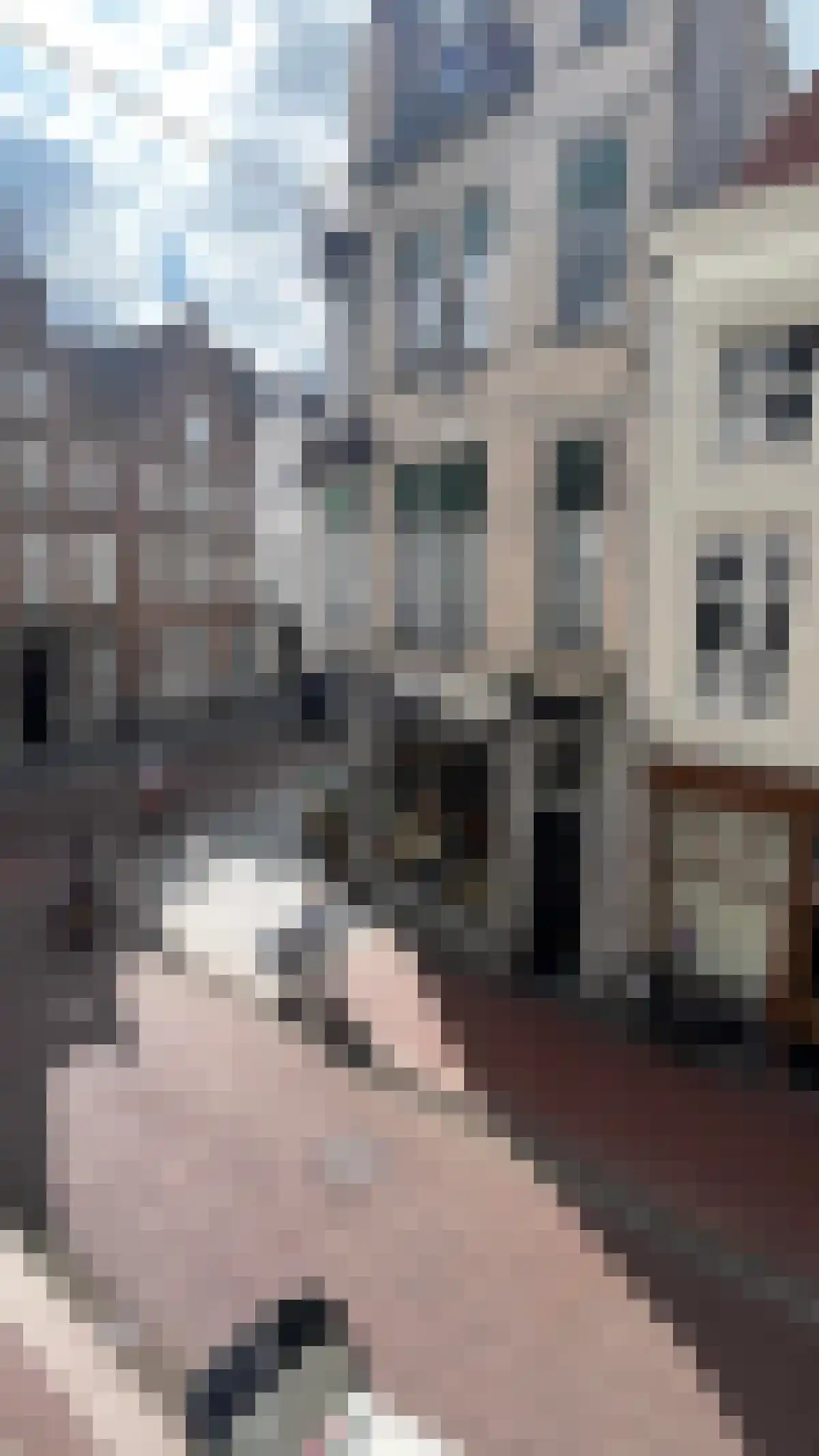Visstraat 3 's-Hertogenbosch thumbnail 4