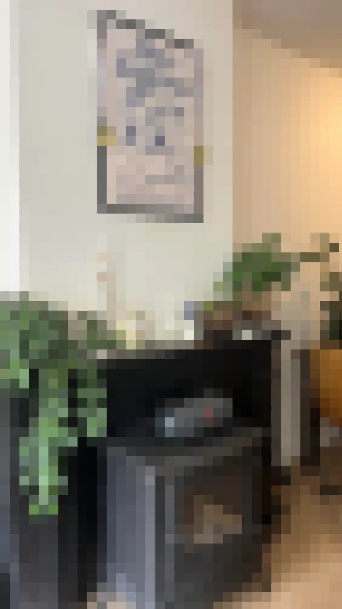 Visstraat 3 's-Hertogenbosch thumbnail 6