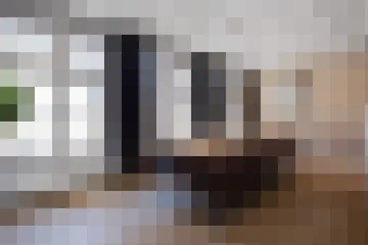 Visstraat 34 's-Hertogenbosch thumbnail 10