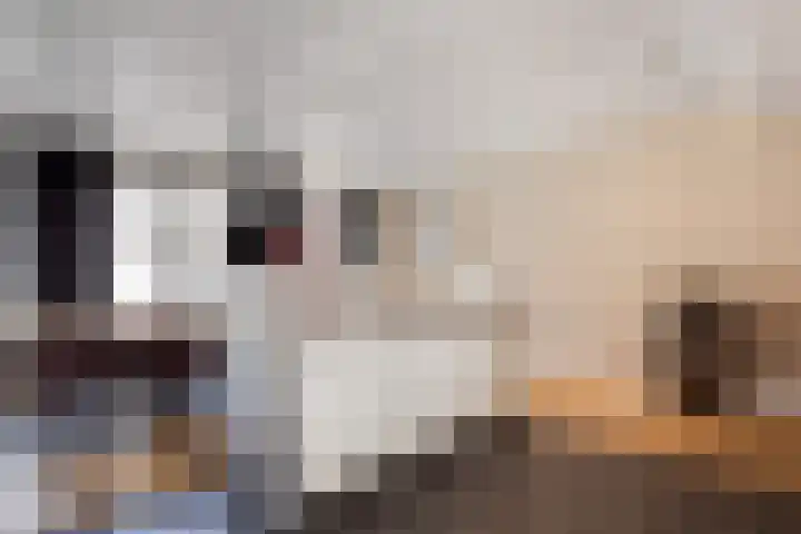 Visstraat 34 's-Hertogenbosch thumbnail 17