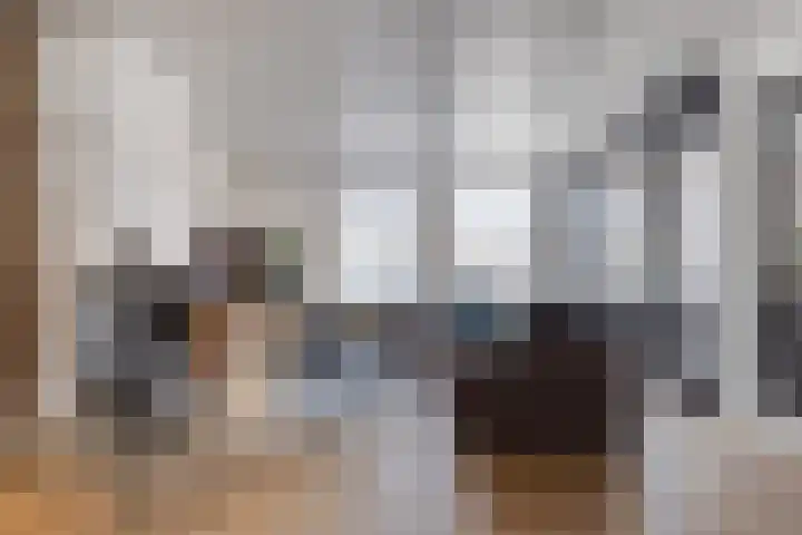 Visstraat 34 's-Hertogenbosch thumbnail 21