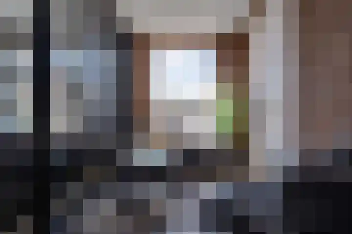 Visstraat 34 's-Hertogenbosch thumbnail 28