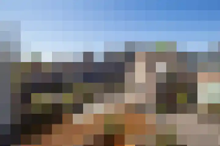 Visstraat 34 's-Hertogenbosch thumbnail 30