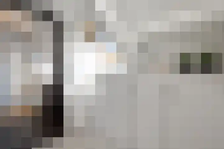 Visstraat 34 's-Hertogenbosch thumbnail 31