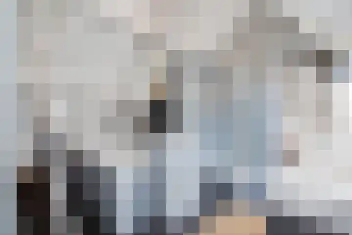 Visstraat 34 's-Hertogenbosch thumbnail 35