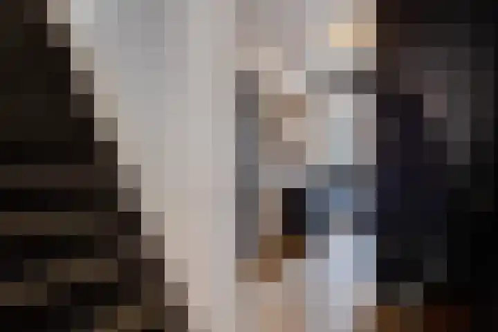 Visstraat 34 's-Hertogenbosch thumbnail 8