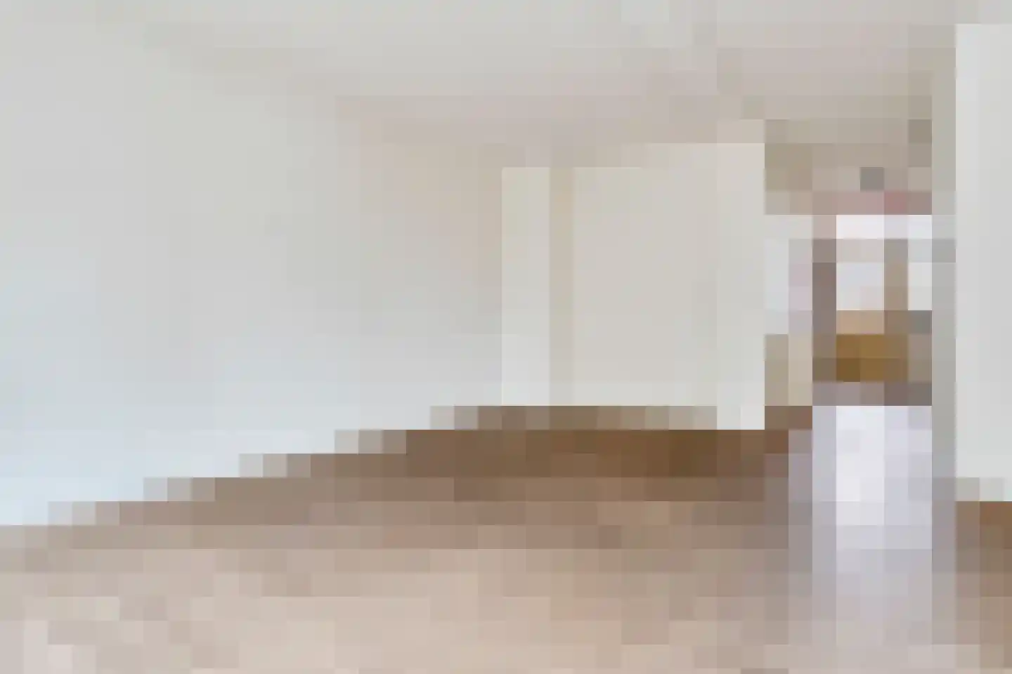 Visstraat 47 's-Hertogenbosch thumbnail 15