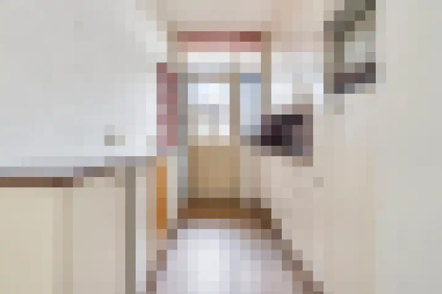 Visstraat 47 's-Hertogenbosch thumbnail 16