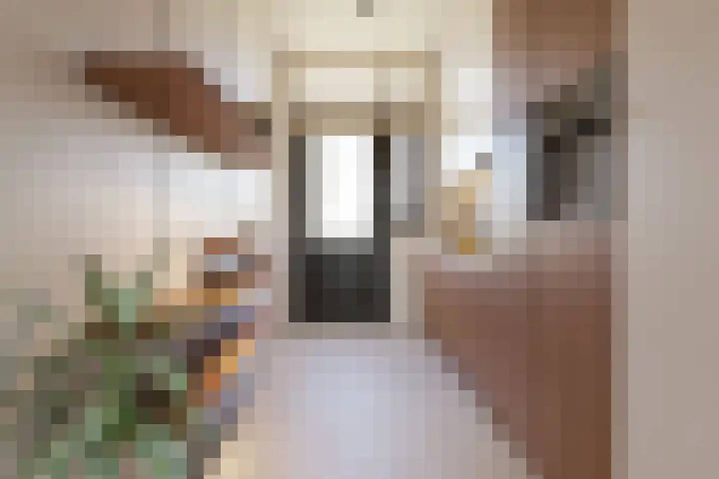 Visstraat 47 's-Hertogenbosch thumbnail 17