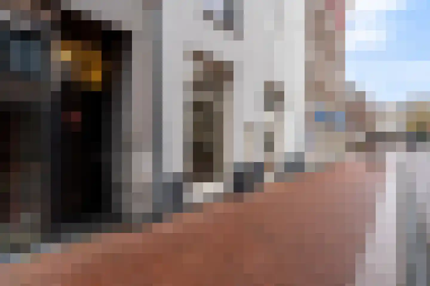 Visstraat 47 's-Hertogenbosch thumbnail 35