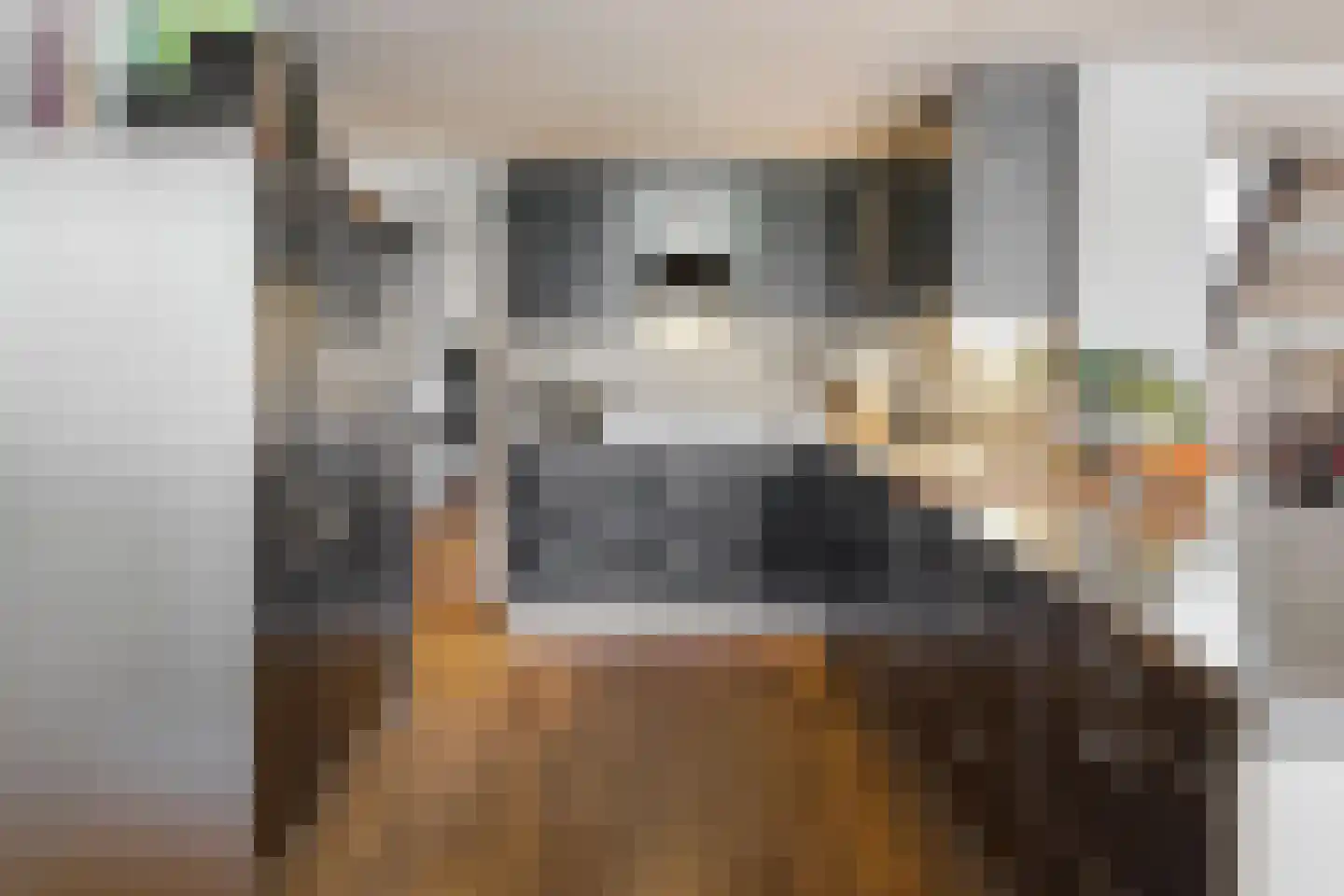 Visstraat 48 's-Hertogenbosch thumbnail 13