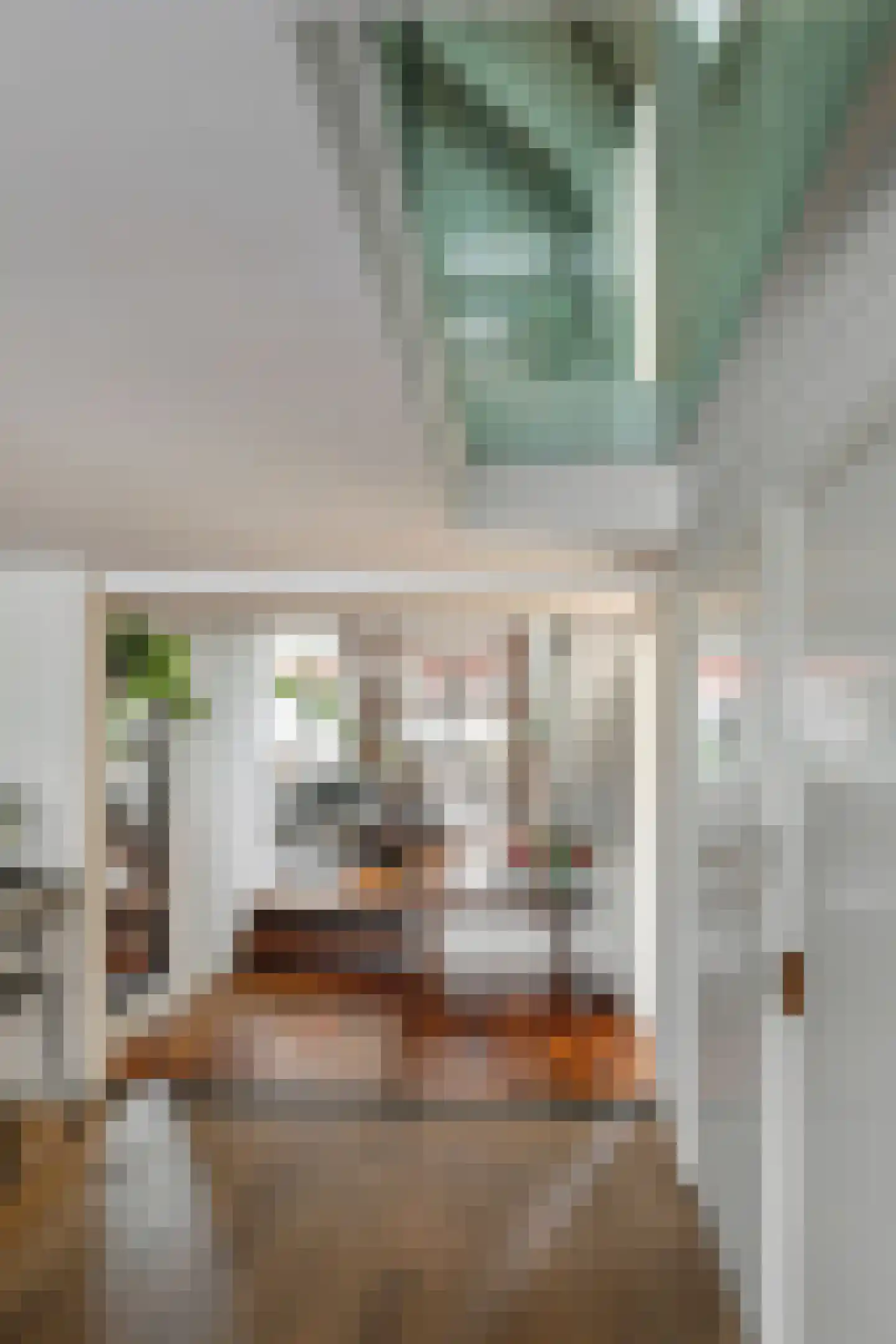 Visstraat 48 's-Hertogenbosch thumbnail 16