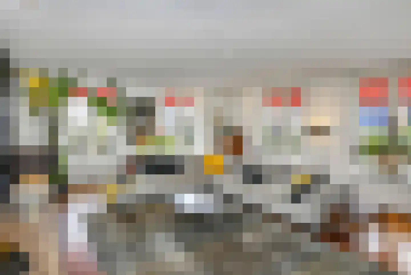 Visstraat 48 's-Hertogenbosch thumbnail 17