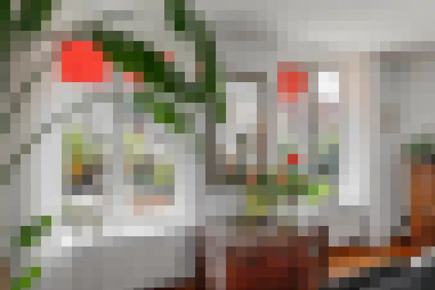 Visstraat 48 's-Hertogenbosch thumbnail 18
