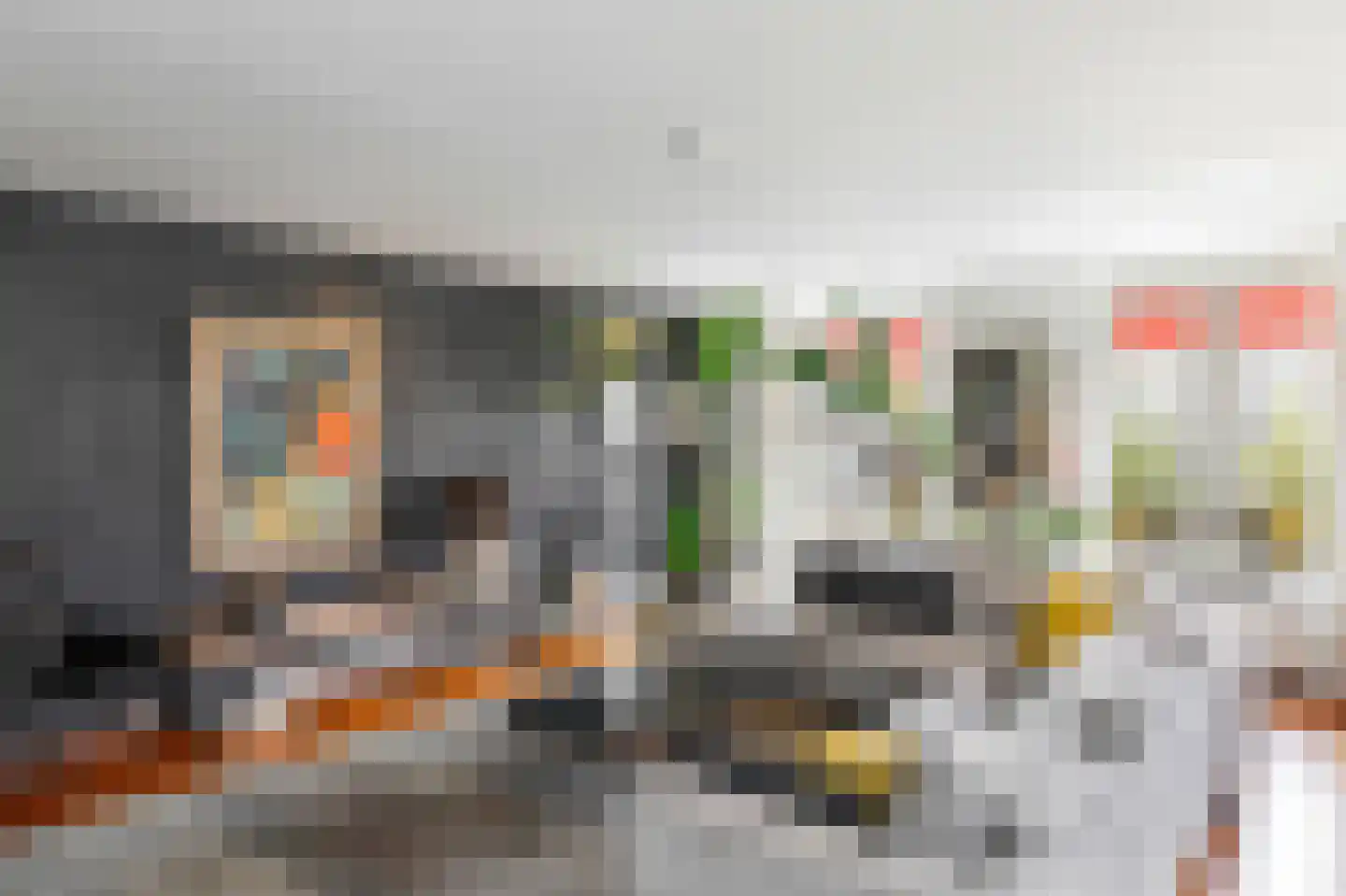 Visstraat 48 's-Hertogenbosch thumbnail 19