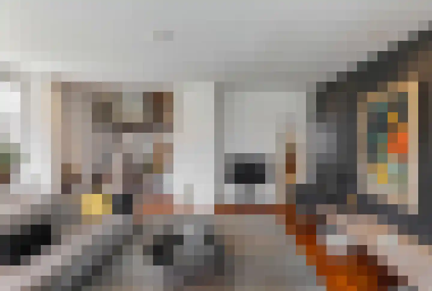 Visstraat 48 's-Hertogenbosch thumbnail 20
