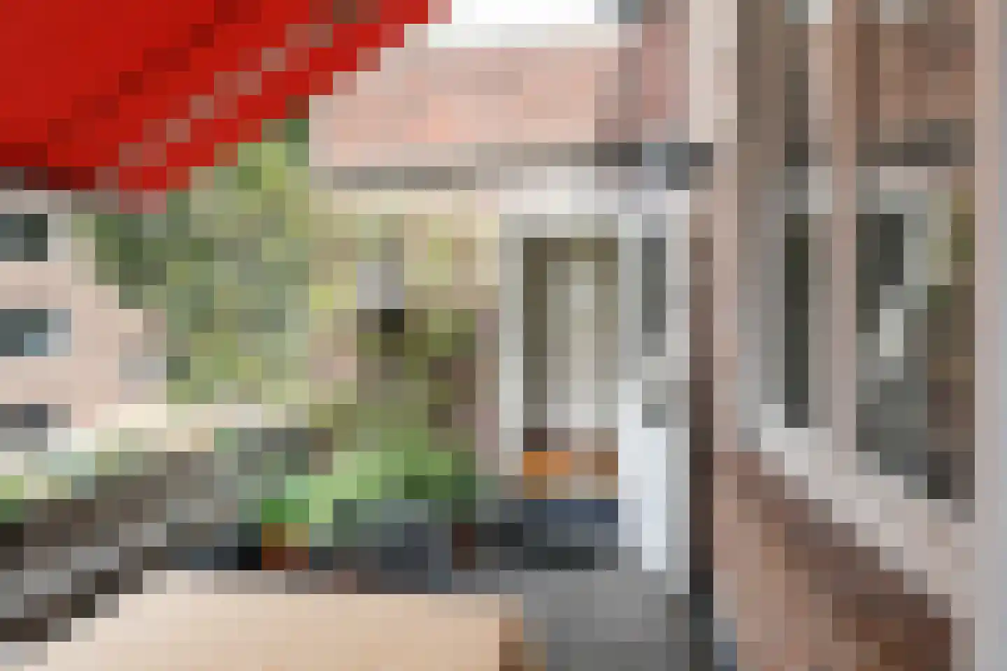 Visstraat 48 's-Hertogenbosch thumbnail 22