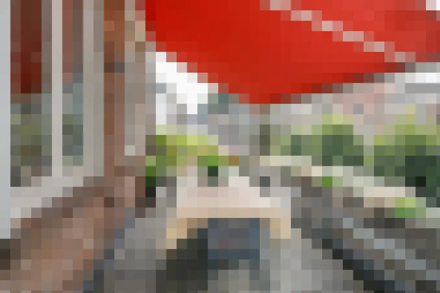 Visstraat 48 's-Hertogenbosch thumbnail 24