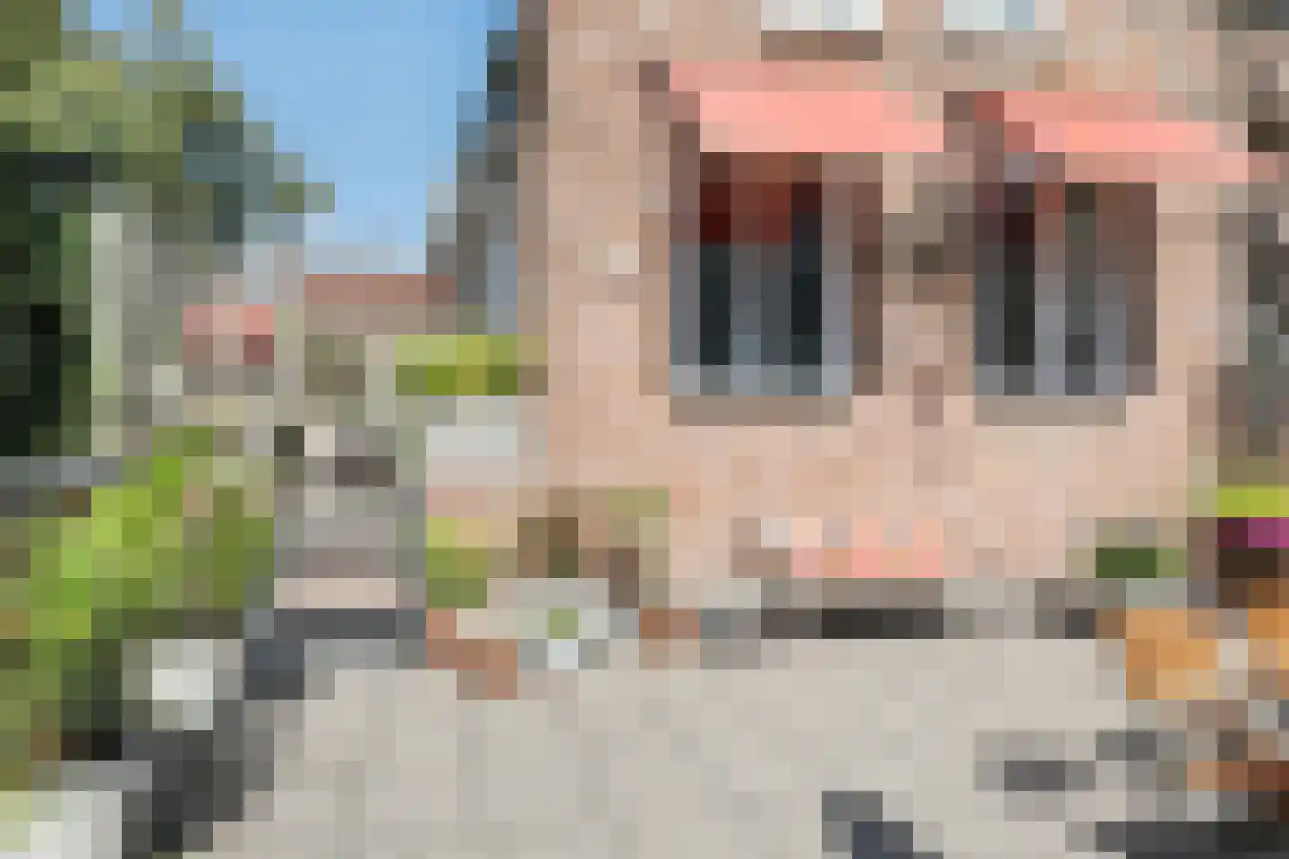 Visstraat 48 's-Hertogenbosch thumbnail 25