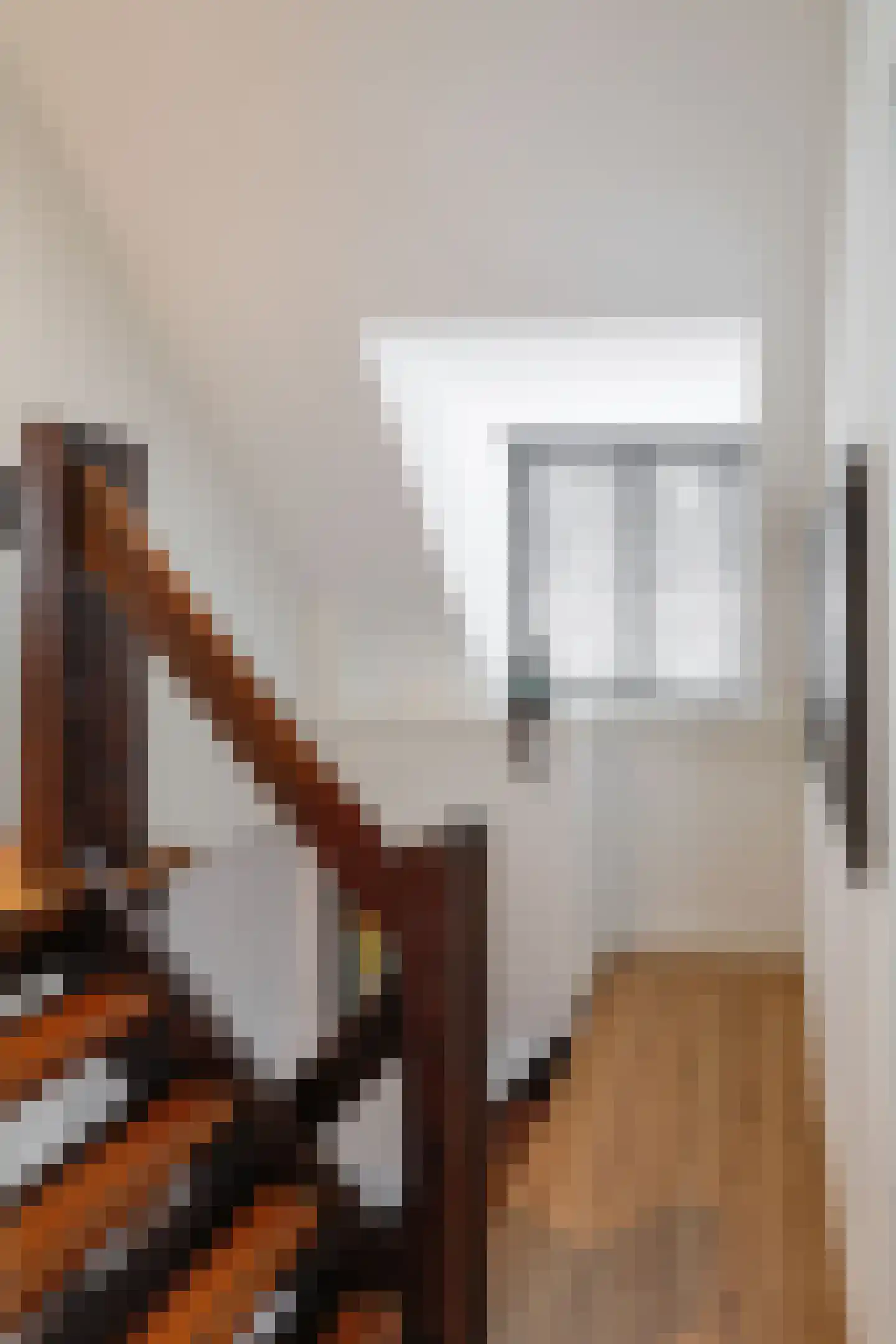 Visstraat 48 's-Hertogenbosch thumbnail 27