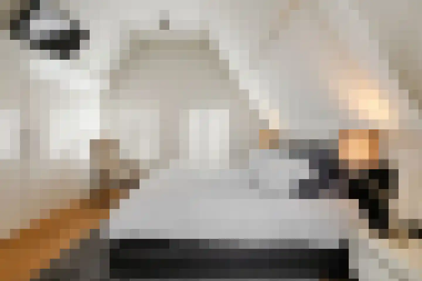Visstraat 48 's-Hertogenbosch thumbnail 28