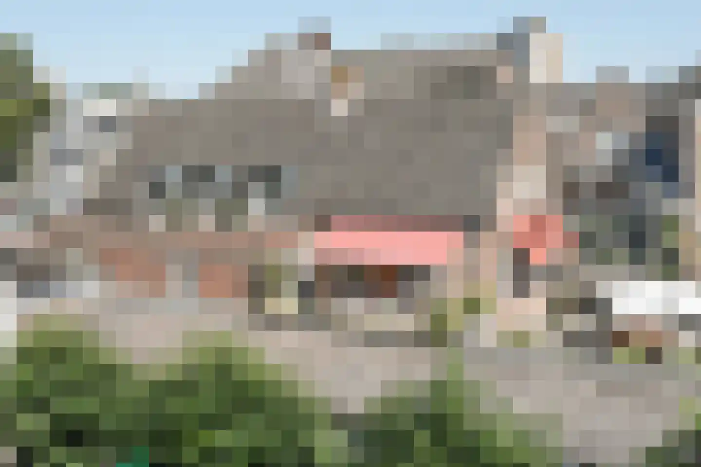 Visstraat 48 's-Hertogenbosch foto 3