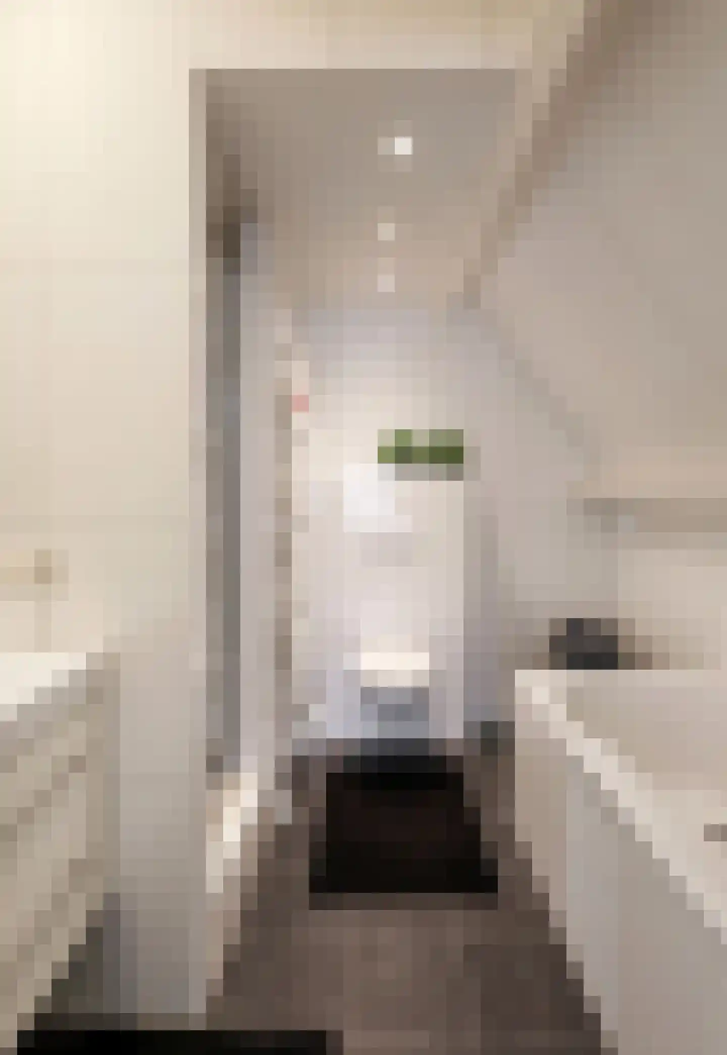 Visstraat 48 's-Hertogenbosch thumbnail 31