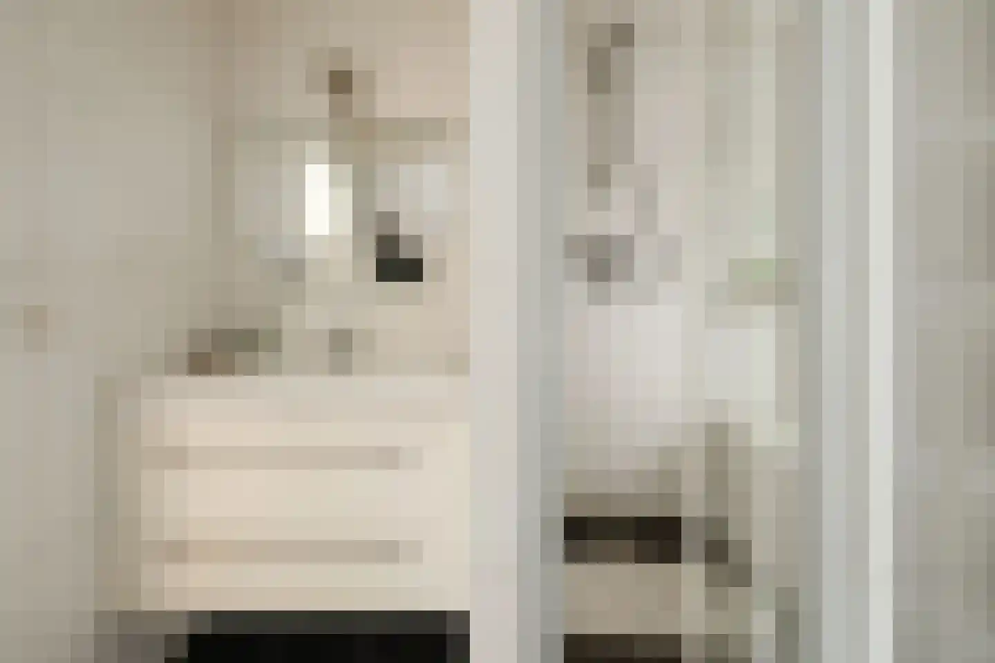 Visstraat 48 's-Hertogenbosch thumbnail 33