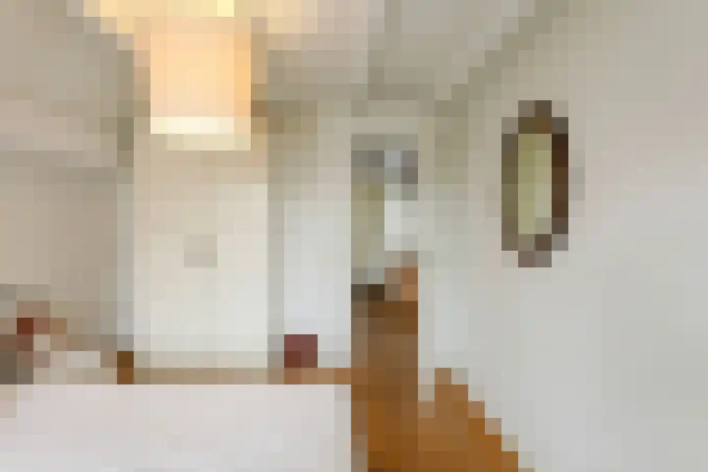 Visstraat 48 's-Hertogenbosch thumbnail 36
