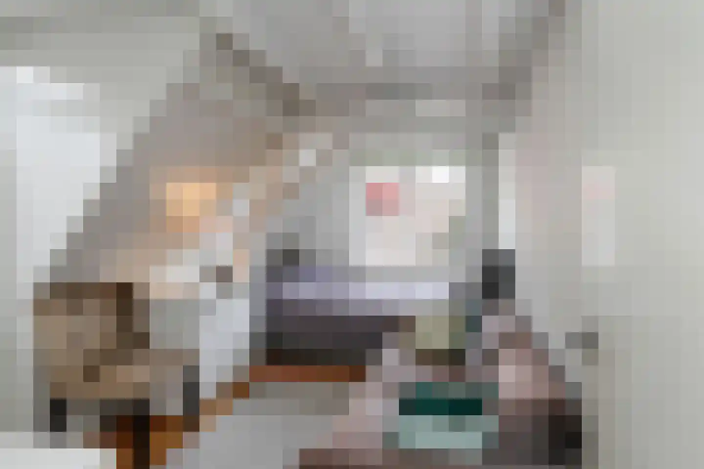Visstraat 48 's-Hertogenbosch thumbnail 37
