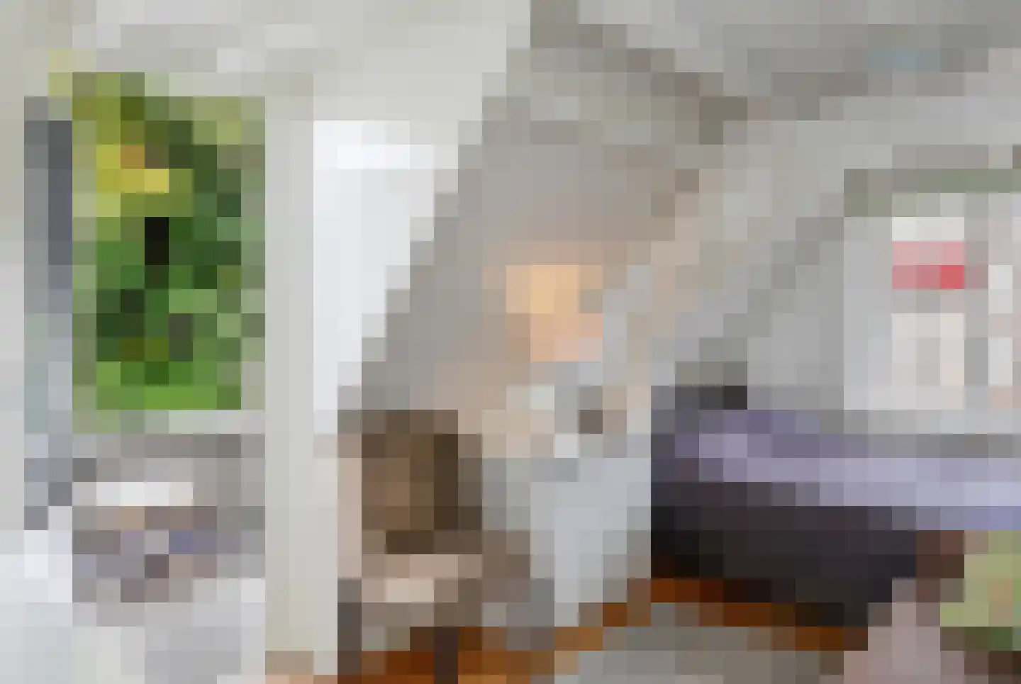 Visstraat 48 's-Hertogenbosch thumbnail 38