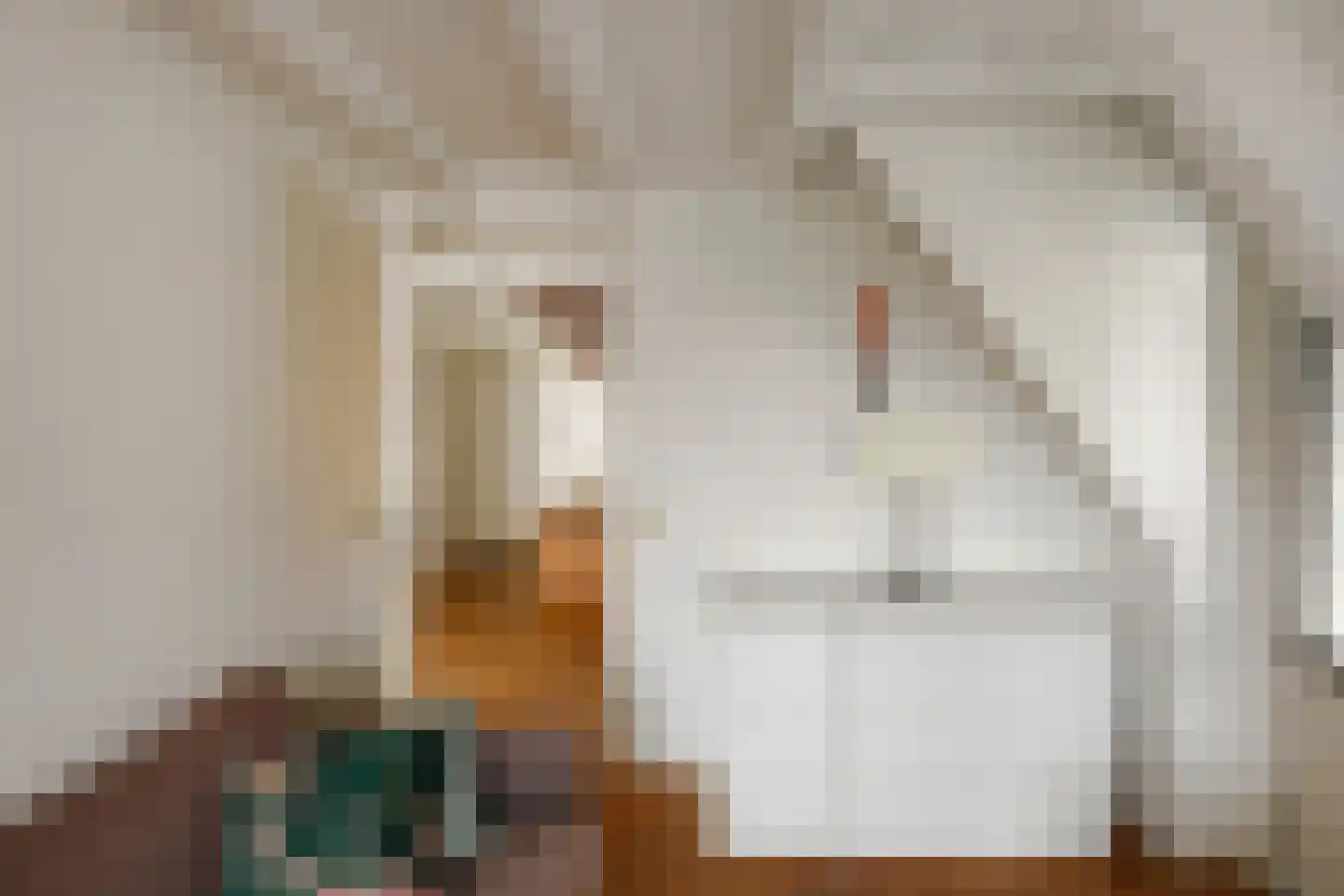 Visstraat 48 's-Hertogenbosch thumbnail 42