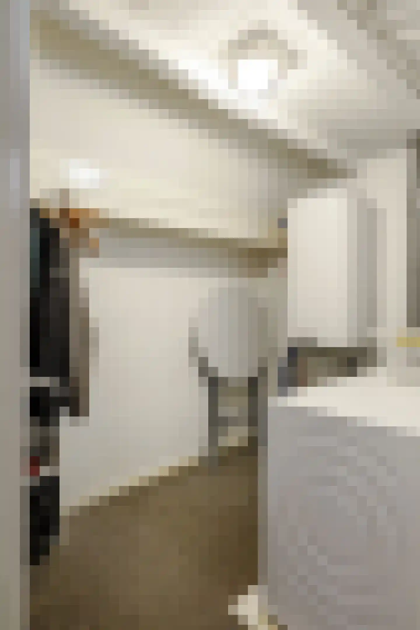 Visstraat 48 's-Hertogenbosch thumbnail 46