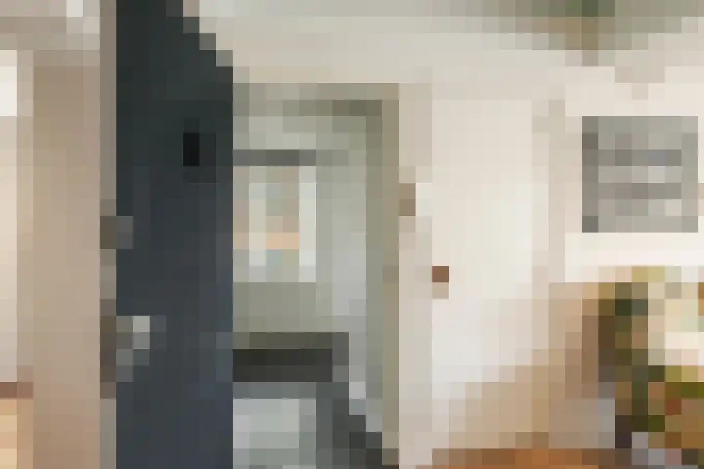 Visstraat 48 's-Hertogenbosch thumbnail 51