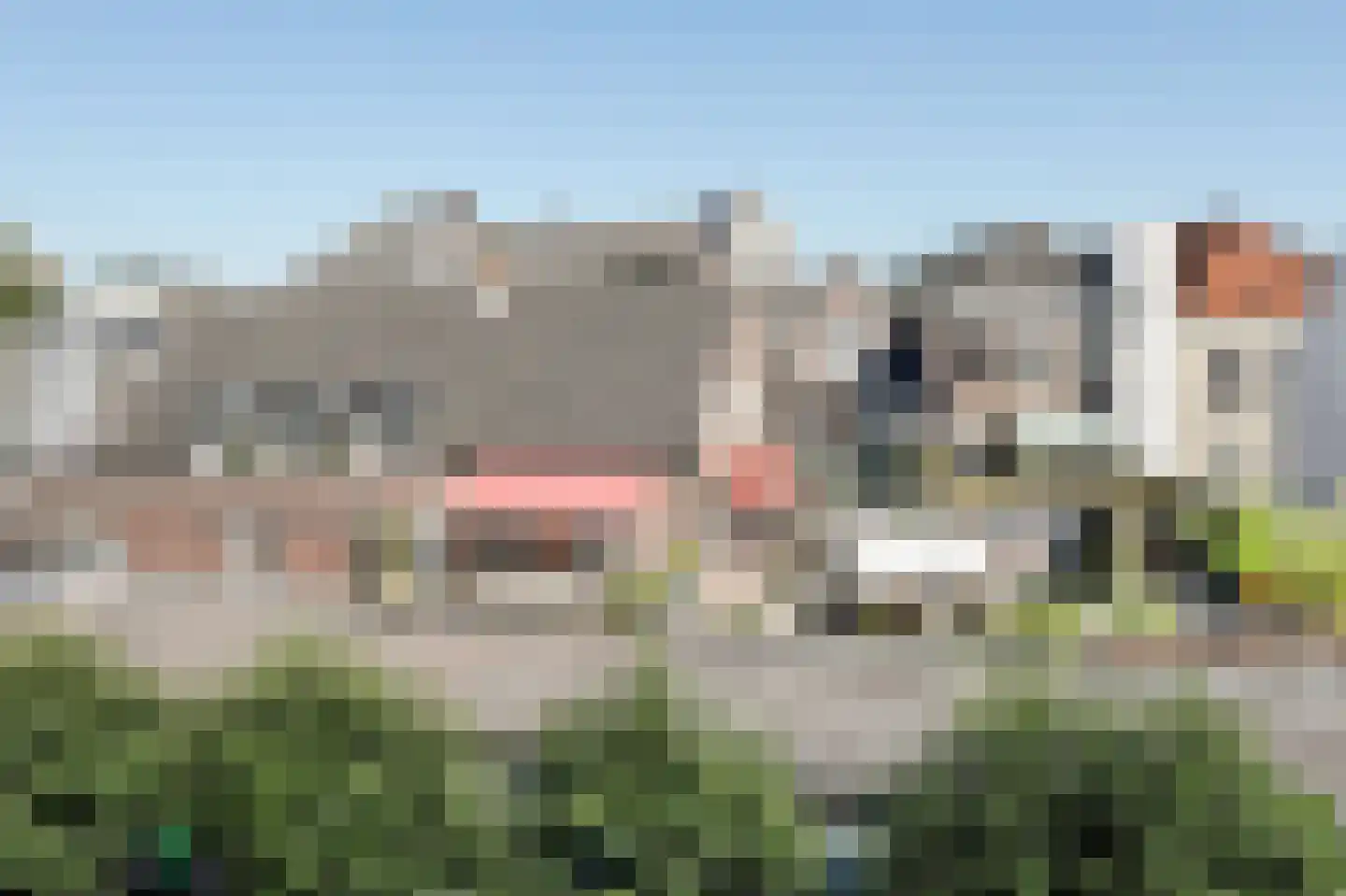 Visstraat 48 's-Hertogenbosch thumbnail 55