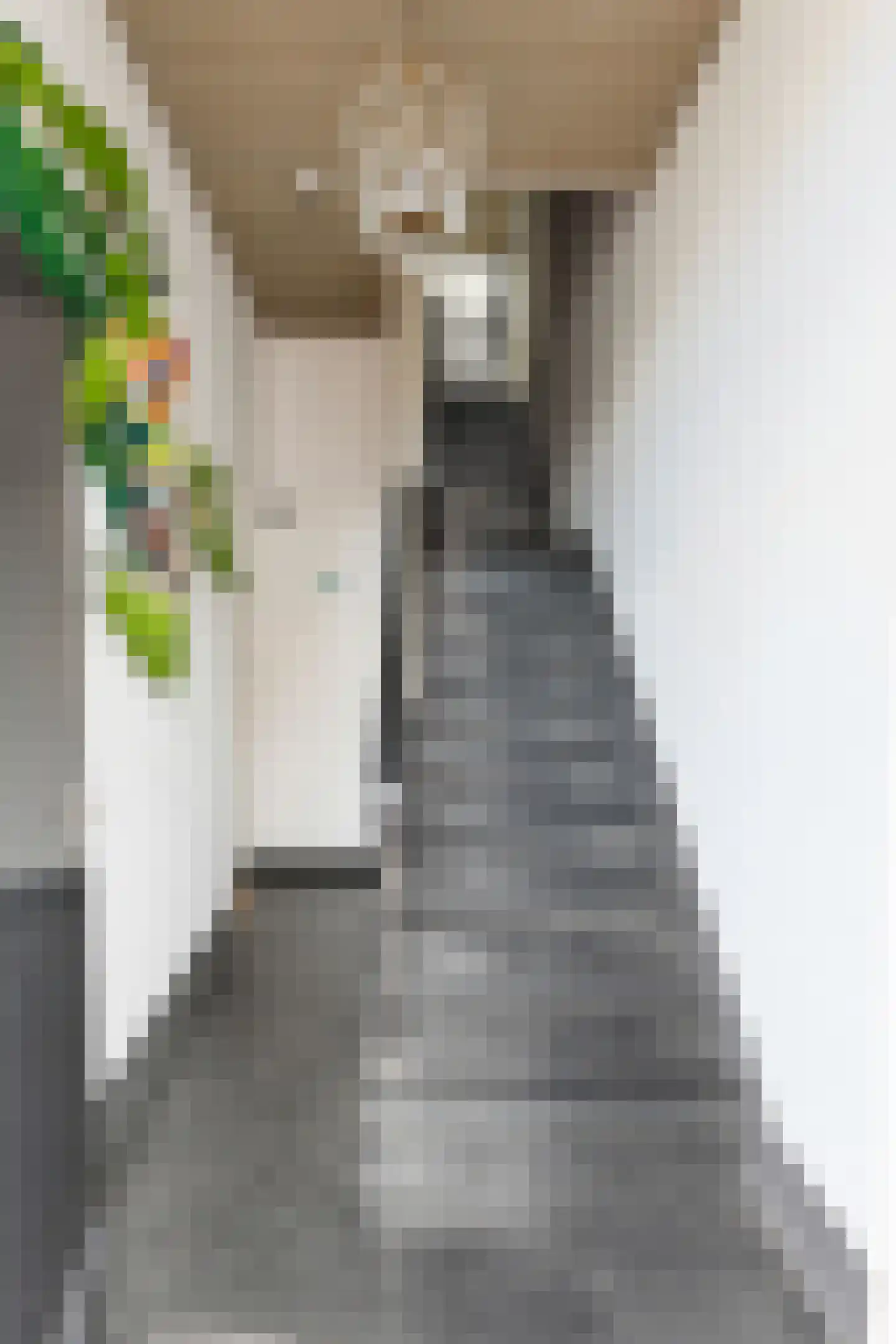 Visstraat 48 's-Hertogenbosch thumbnail 6