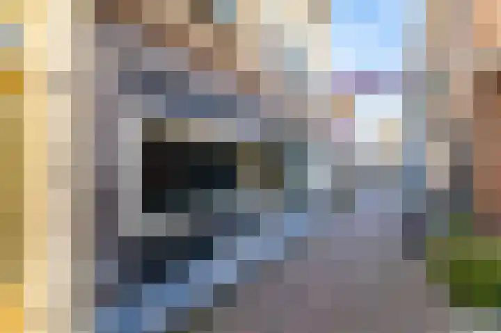 Visstraat 6 Zierikzee thumbnail 4