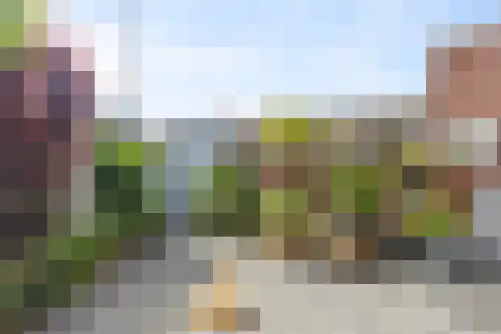 Visstraat 93 Den Helder thumbnail 19