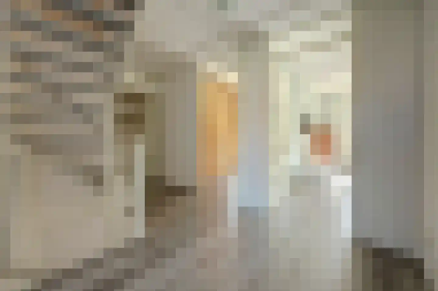 Vista 19 Almelo thumbnail 21