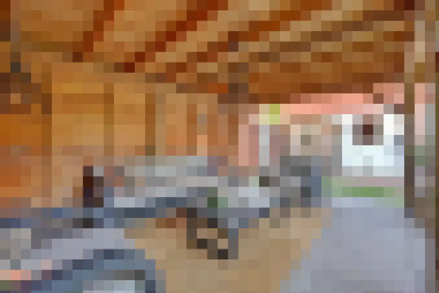 Vista 19 Almelo thumbnail 47