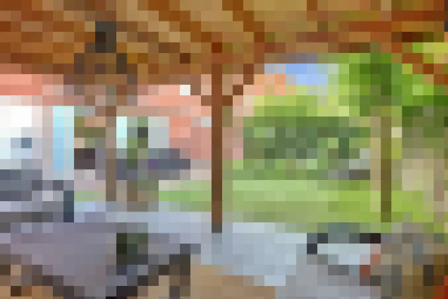 Vista 19 Almelo thumbnail 48