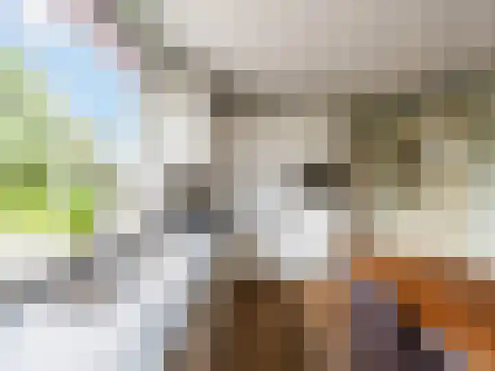 Visveldsestraat 3 Lent thumbnail 11