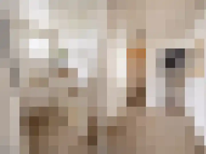 Visveldsestraat 3 Lent thumbnail 13