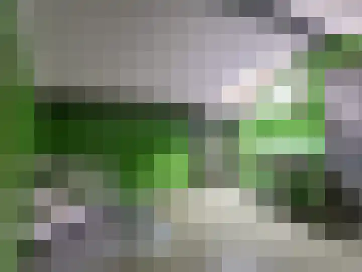 Visveldsestraat 3 Lent thumbnail 21