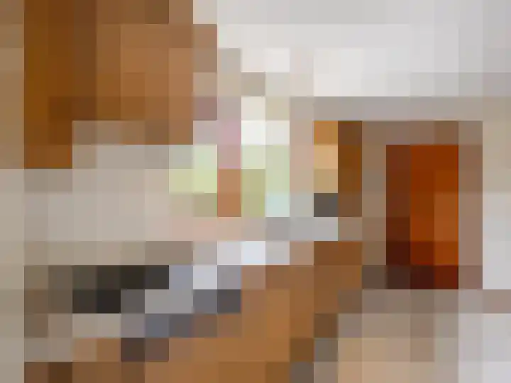 Visveldsestraat 3 Lent thumbnail 25