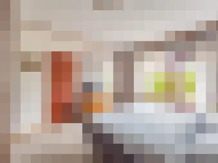 Visveldsestraat 3 Lent thumbnail 26